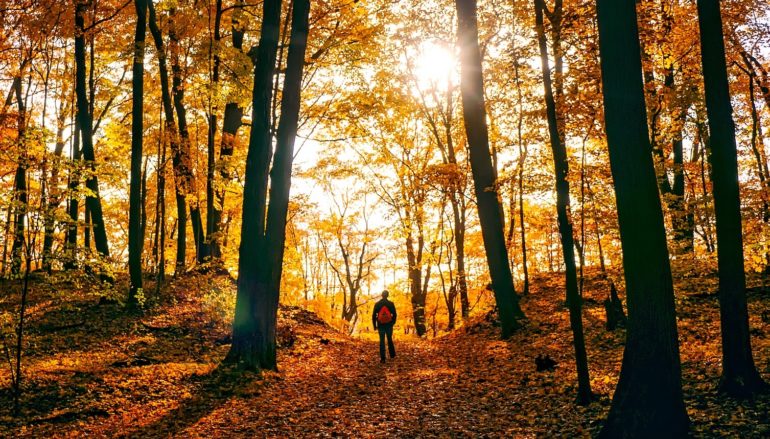 wandern im Herbst