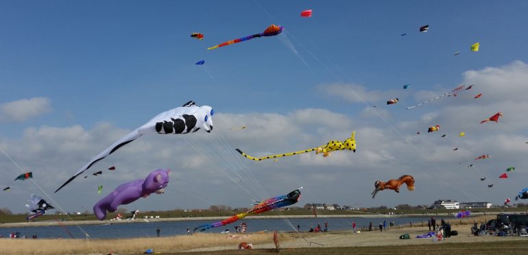 Privates Kite-Fest organisieren