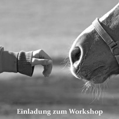 Einladung zum Workshop