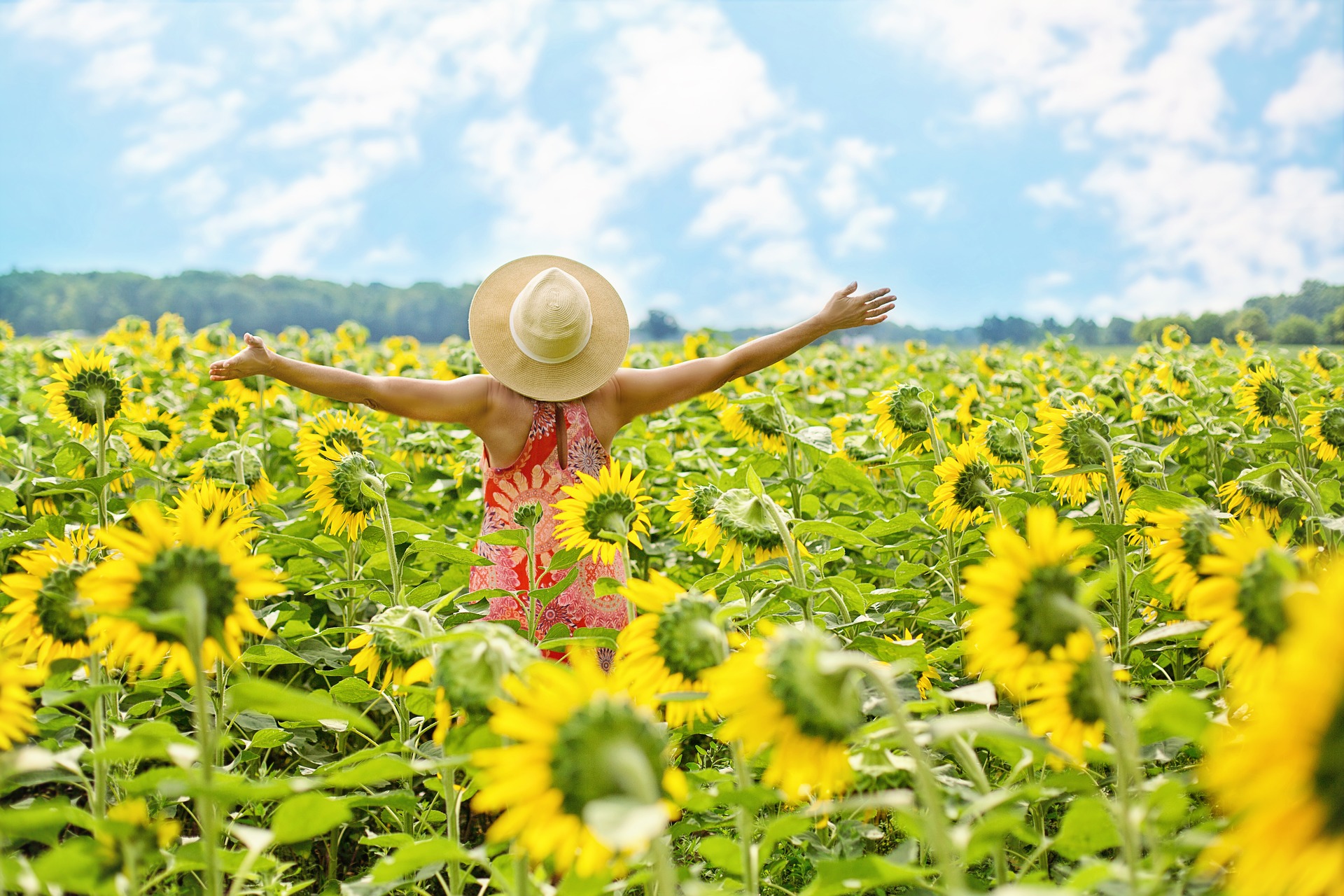 Sommerfest im kleinen Kreis
